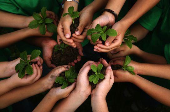 Join The Arbor Day Foundation In September And Receive 10 Free Trees Living Heraldchroniclecom