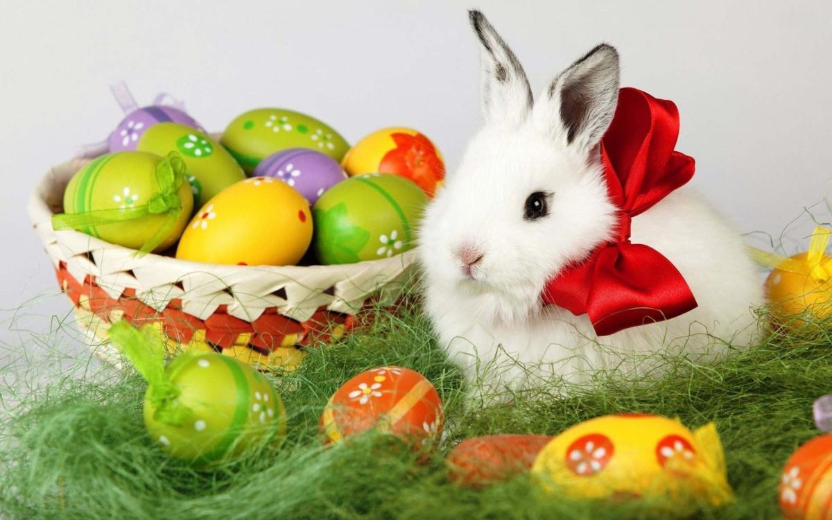 Vision Church to deliver free Easter eggs to homes Local News Vision Church to deliver free Easter eggs to homes Local News