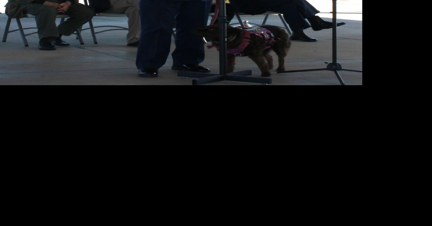 FC honors veterans with special program