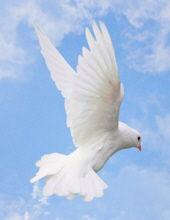 religious happenings