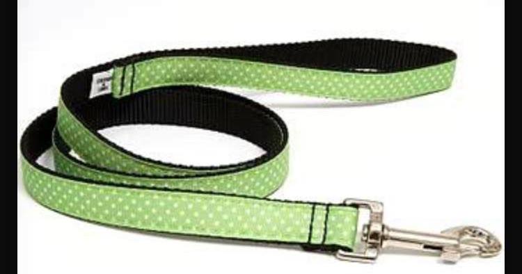 Violation of leash law can lead to impoundment of dog and fines | Local News | heraldchronicle.com