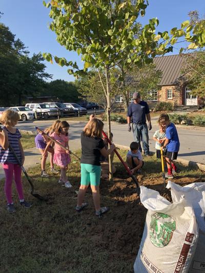 Planting a tree