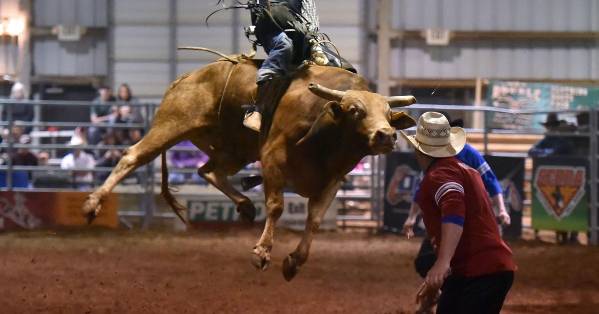 SEBRA Bull Riding in Abingdon