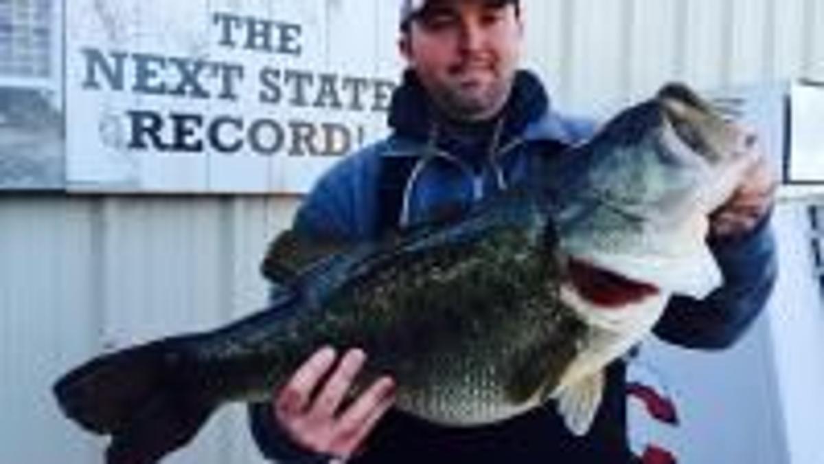 Record Busting Largemouth Bass Has Fishermen Buzzing Lifestyles Heraldcourier Com