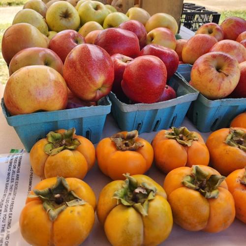 Charlottesville City Market.jpg