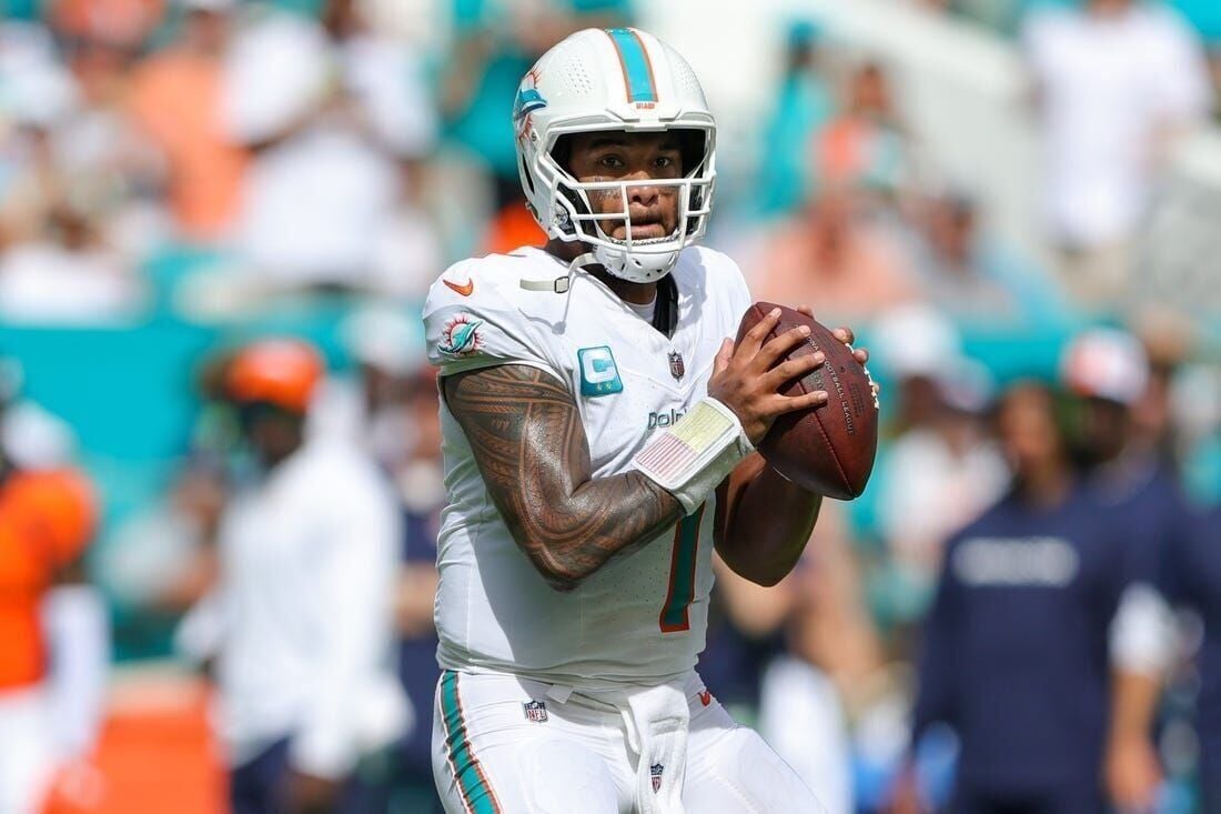 NFL: Miami Dolphins at Buffalo Bills, Fieldlevel