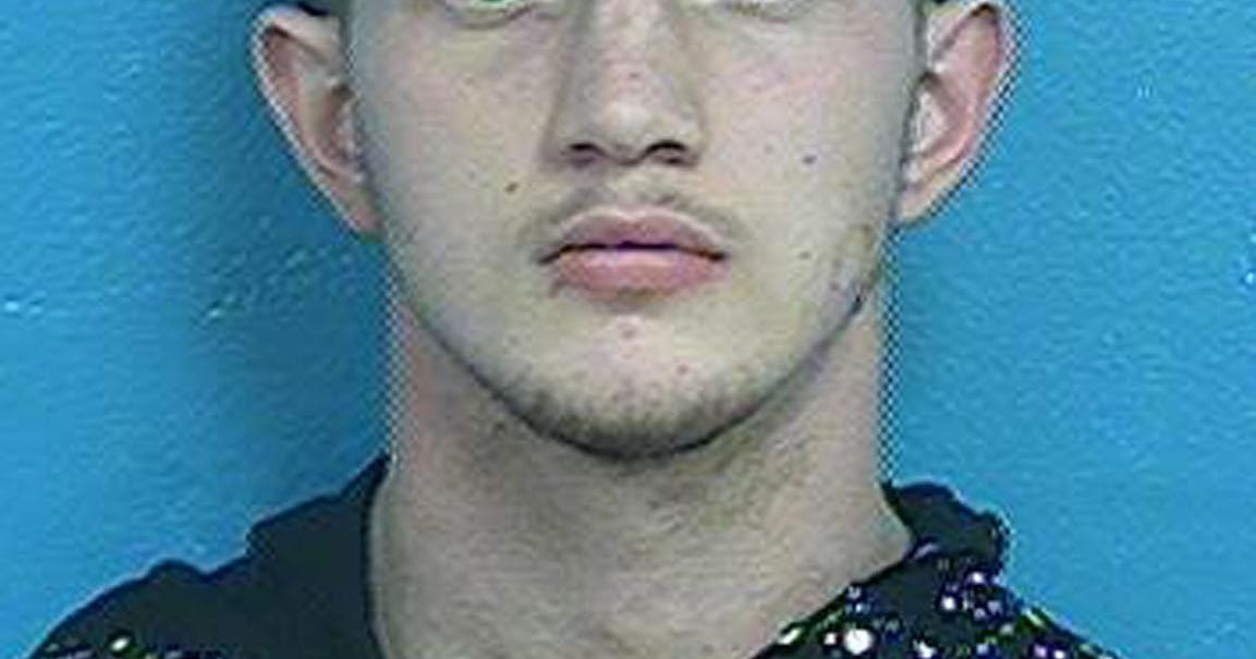 Man pleads guilty to lesser charges in fatal hammer attack