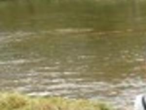 Project Healing Waters Offers Support And Adventure For Wounded Warriors Sports News Heraldcourier Com Become a master swordsman or a powerful blox fruit user as you train to become the strongest player to ever live. bristol herald courier