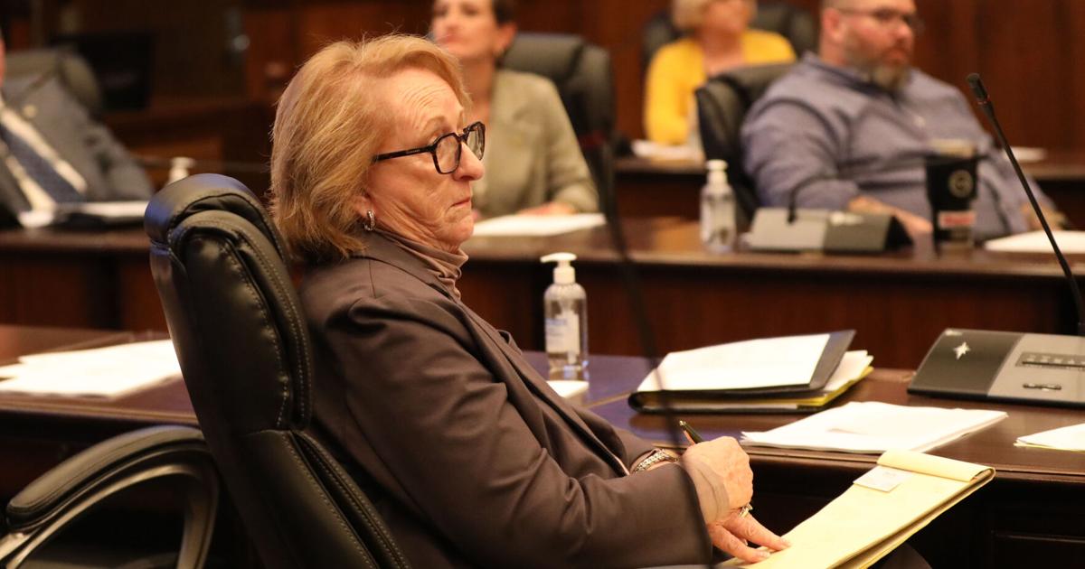 Rayetta Sullivan Sullivan advances women’s recovery home plan