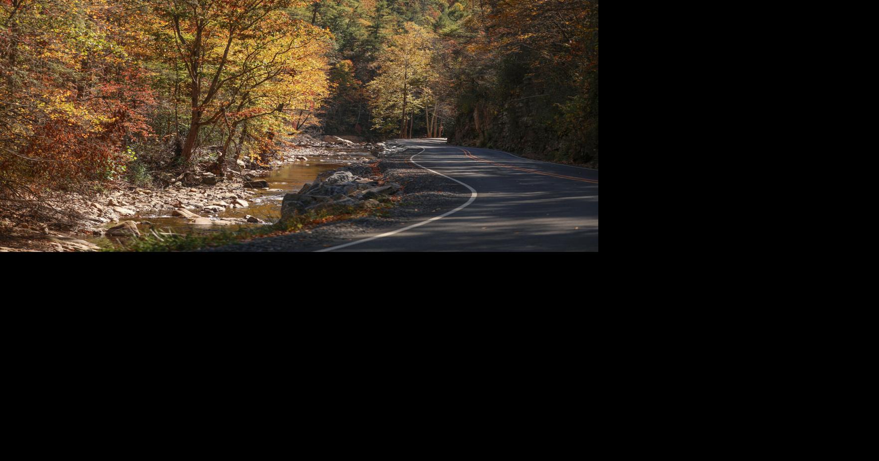 Fall colors nearing peak across Appalachians, ETSU experts say