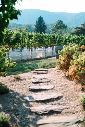 Veritas pathway Heather Elizabeth Photography.jpg