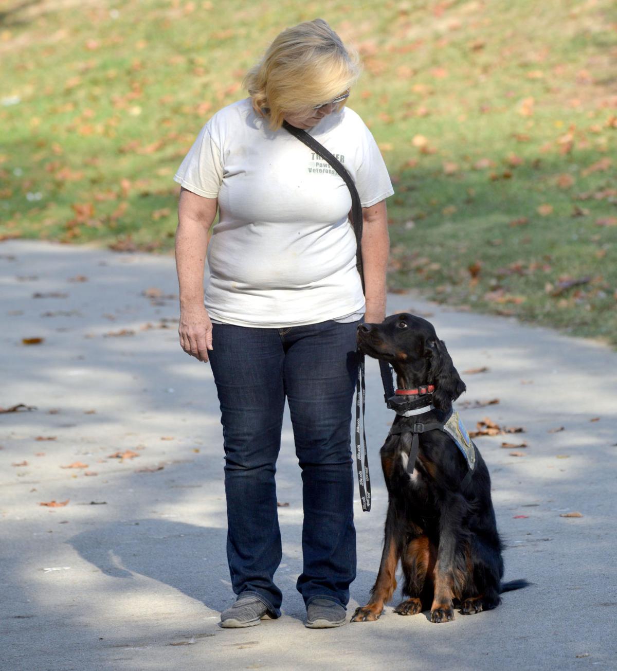 Service Dog Helps Bring Peace Healing To War Veteran With Ptsd Latest Headlines Heraldcourier Com