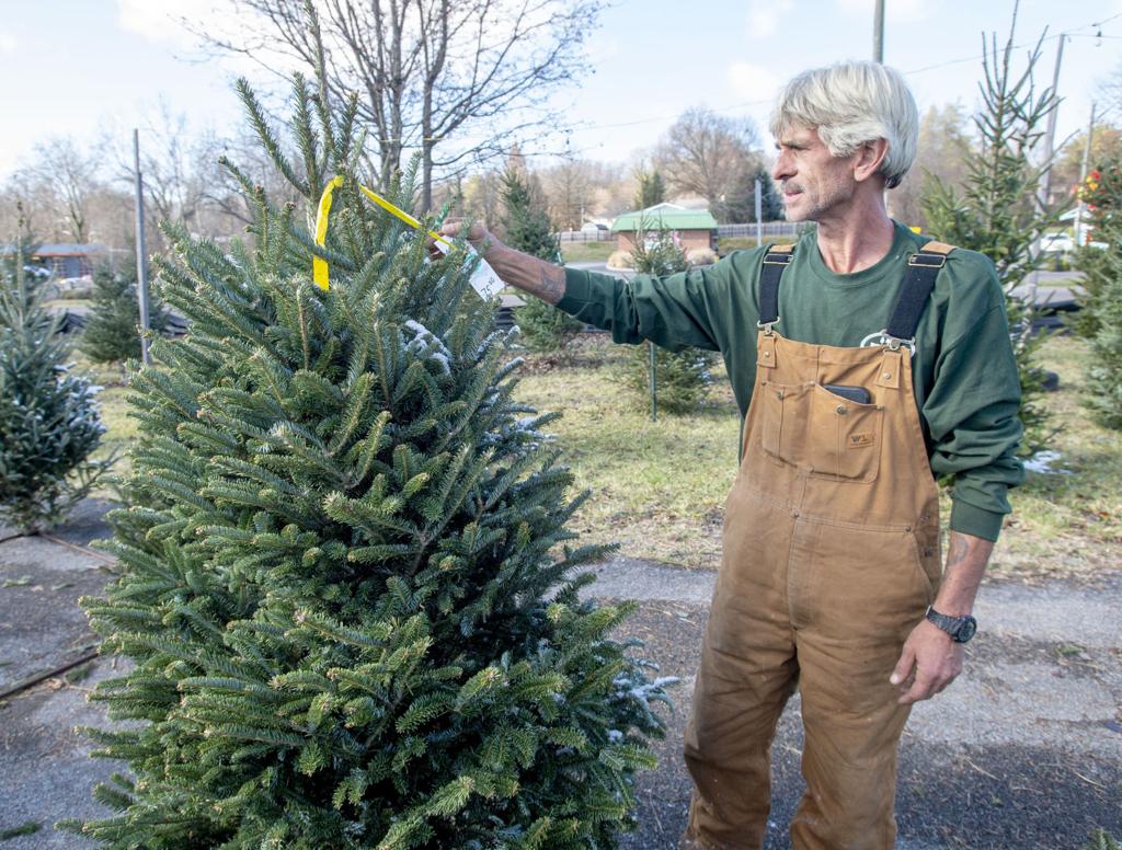 Christmas Tree Shortage Has Roots In Great Recession Latest Headlines Heraldcourier Com