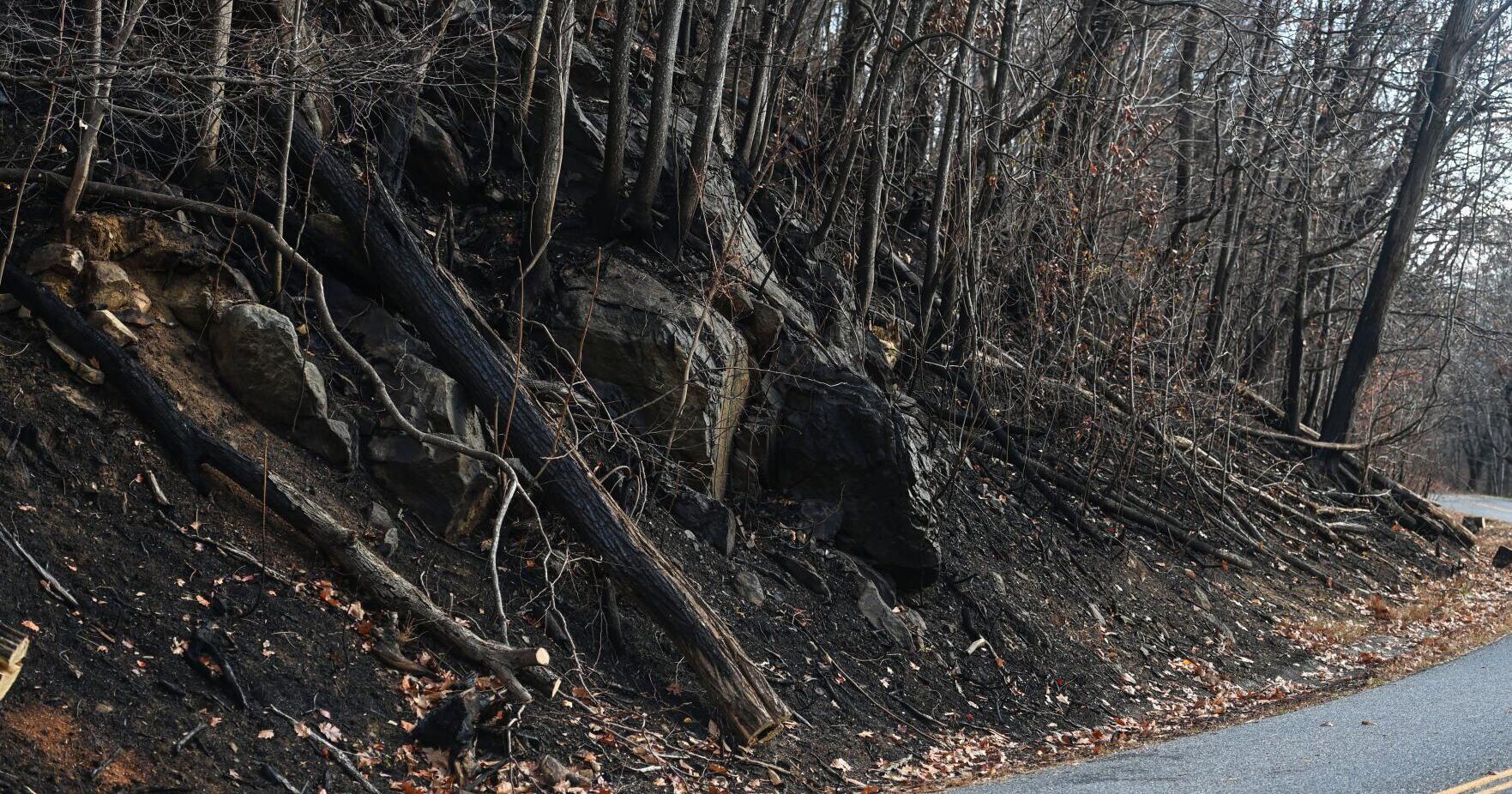 Matts Creek wildfire near Big Island 88% contained - Vimarsana News