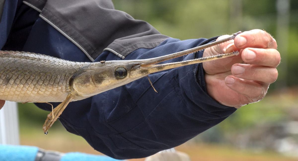 BHC 05132021 TVA Boone Lake and Dam 05