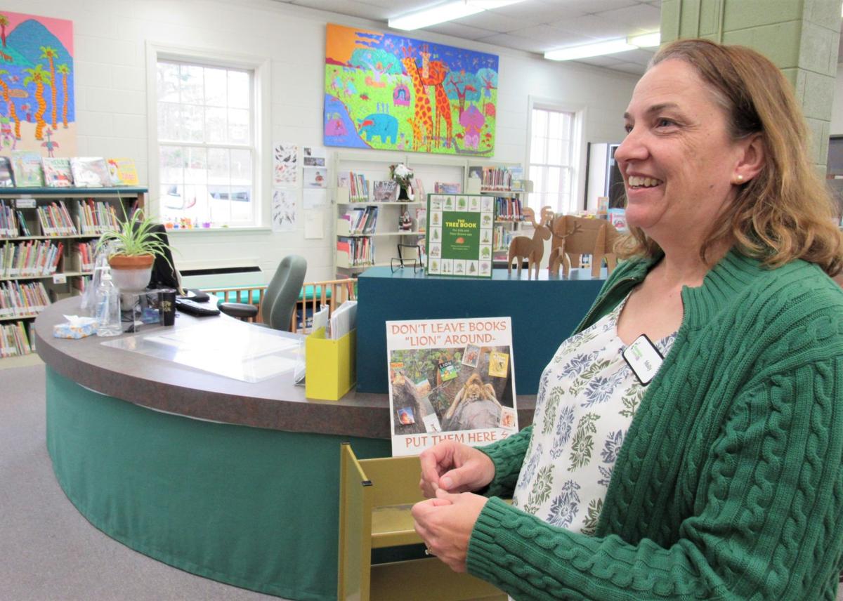 New Washington County Public Library director details plans to lead