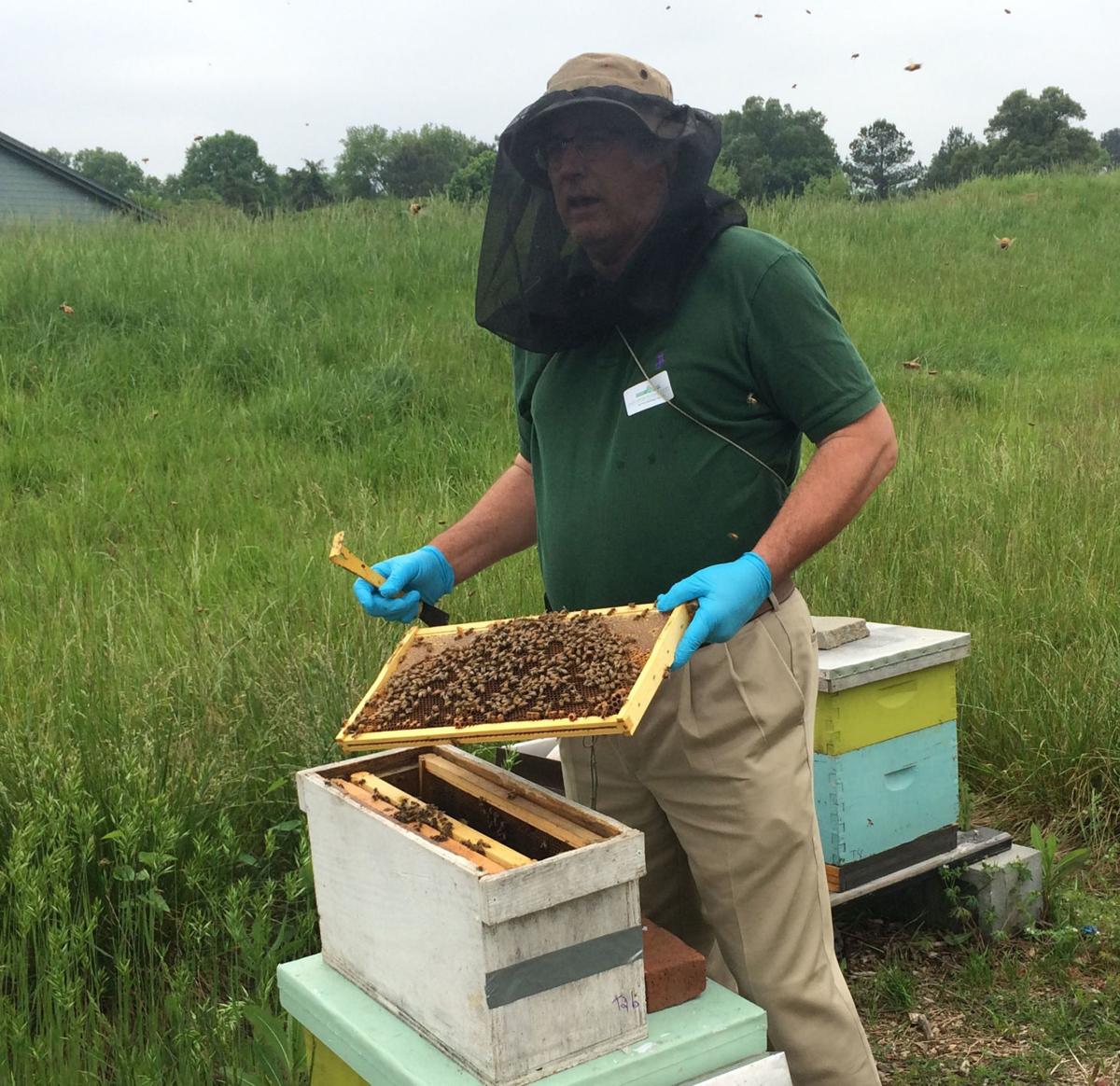 General Assembly funds 2019 Beehive Distribution Program