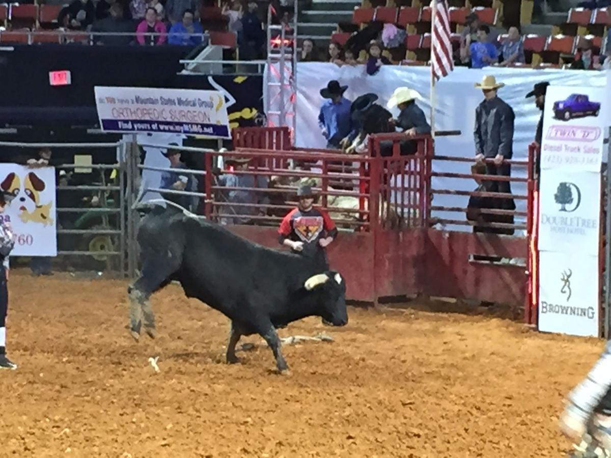Young Men Continue To Brave Bull Riding In Quest For Prize Money Agriculture Heraldcourier Com