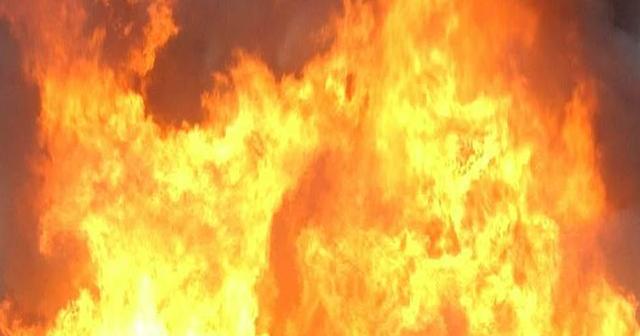 VDOF: Scott County firefighter dies while fighting wildfire - Vimarsana News