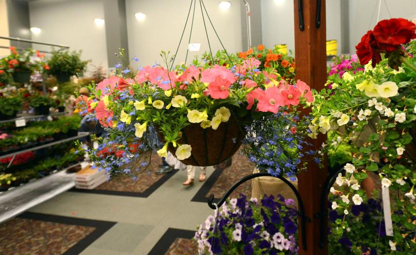 Abingdon's Garden Faire blooming with ideas for homes, gardens
