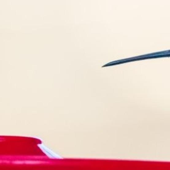 Virginia Woman Hosting Wintering Hummingbird Lifestyles