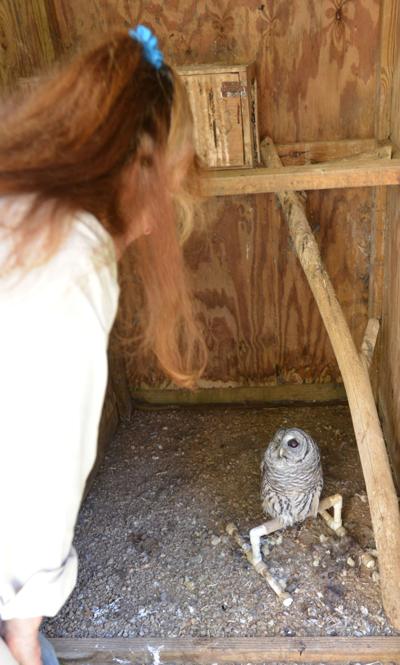WynnWood Wildlife Rehab Eliz