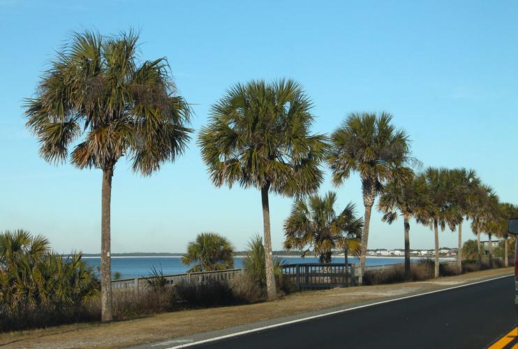 05. Mexico Beach.jpg