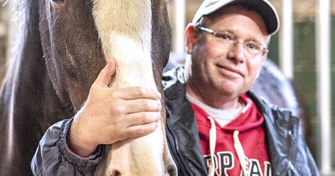 Long enjoys sharing his Clydesdale team with region - Vimarsana News