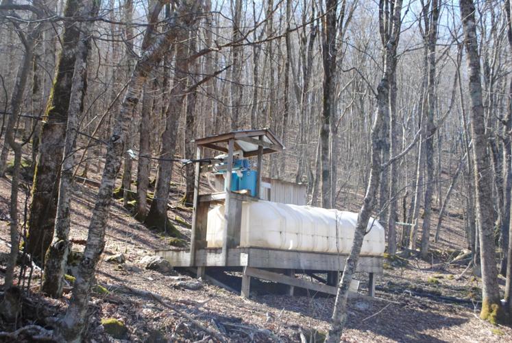 Whitetop Mountain Maple Festival a sweet event