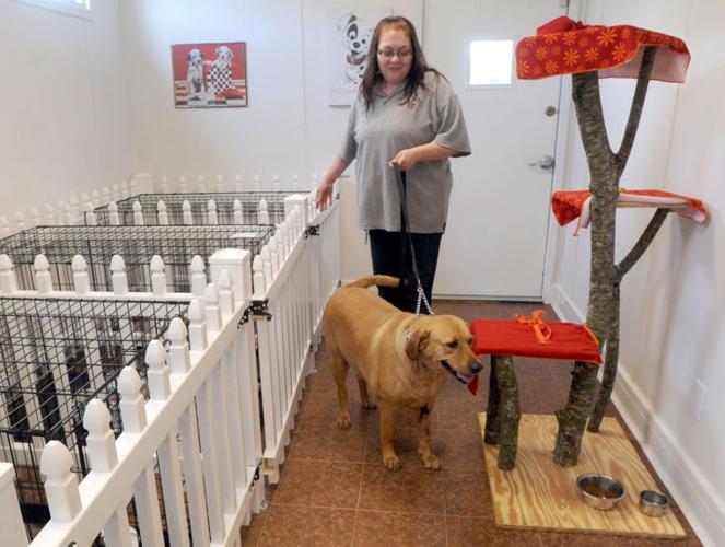 Paws of Hope Animal Wellness Center opens in Bluff City