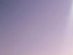 Usp Lee Inmate With Homemade Weapon Shot By Staff Member Latest Headlines Heraldcourier Com