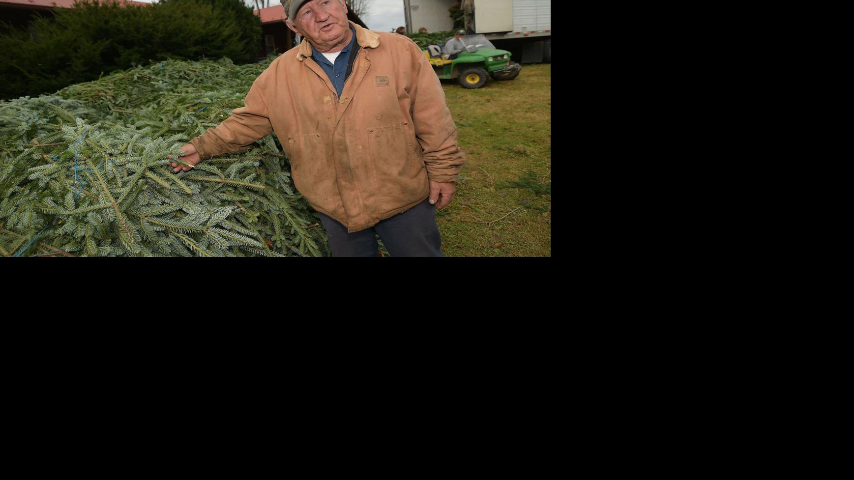 Local Tree Farms Let Shoppers Choose Pick Of The Crop Agriculture Heraldcourier Com