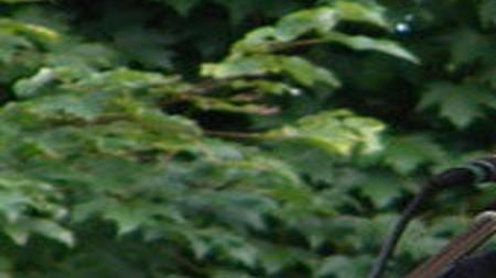 Tret Fure Has Folk Music In Her Soul Community Heraldcourier Com tret fure has folk music in her soul