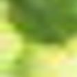 Funeral Homes Lawson Funeral Home Hoschton Ga