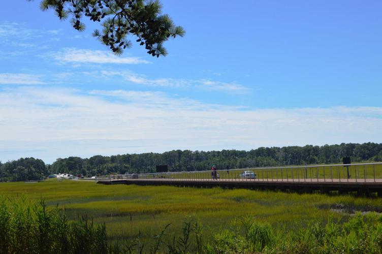Islands Connected by Boardwalk