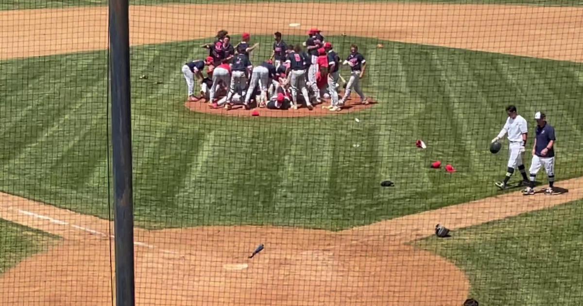 PREP BASEBALL Falcons fought to the end against champion Tigers