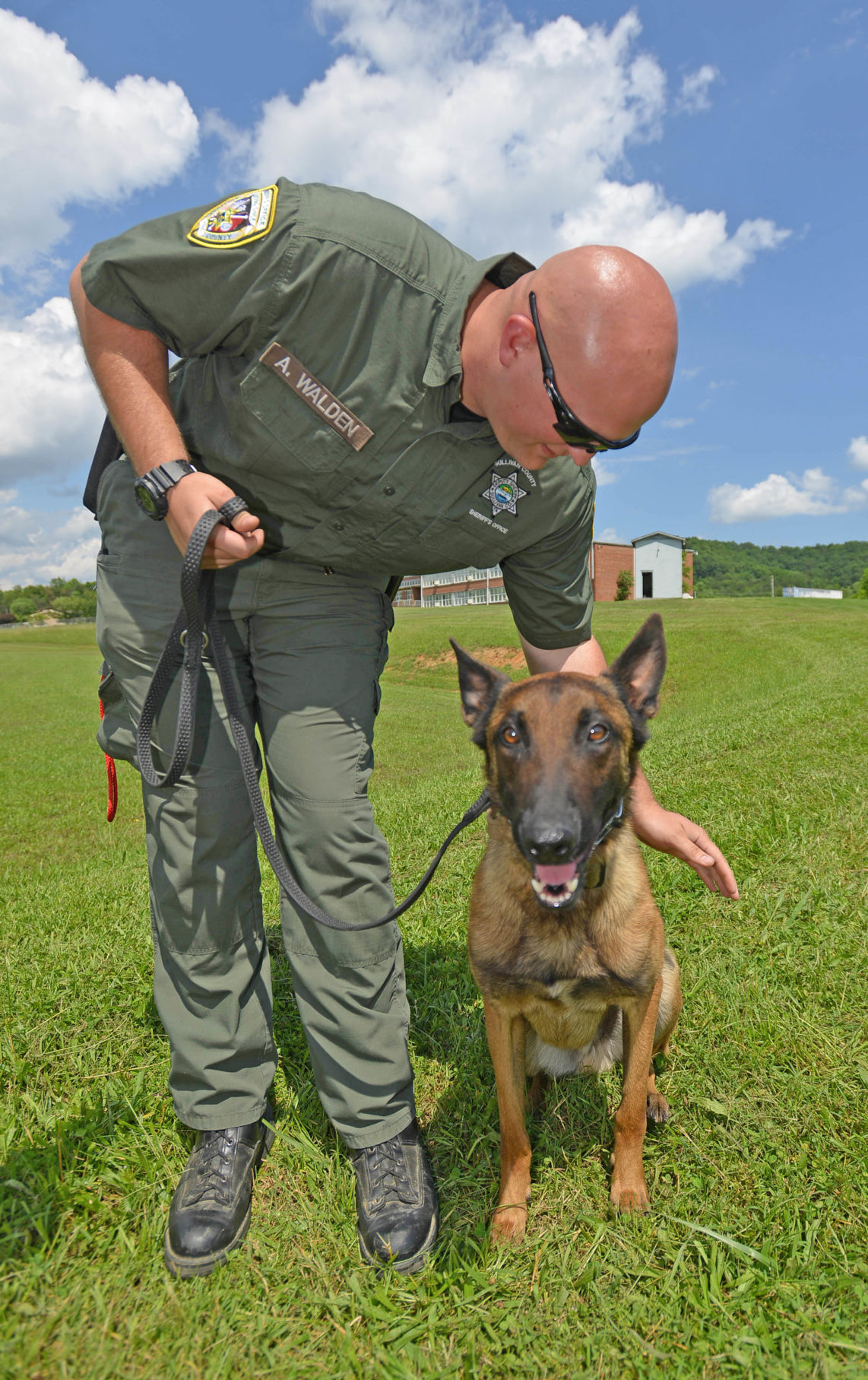belgian shepherd malinois pronunciation four legged deputies u0027integral part u0027 of fighting crime in sullivan belgian shepherd malinois pronunciation four legged deputies u0027integral part u0027 of fighting crime in sullivan