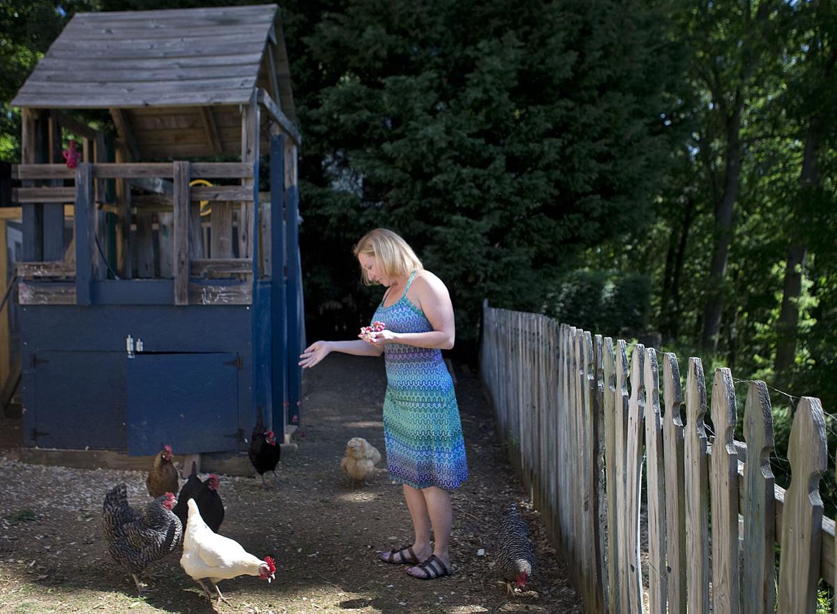 Folks Flock To Chicken Keeping Local News Heraldcouriercom