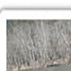 Southwest Virginia 2015 Walleye Fishing Forecast Lifestyles