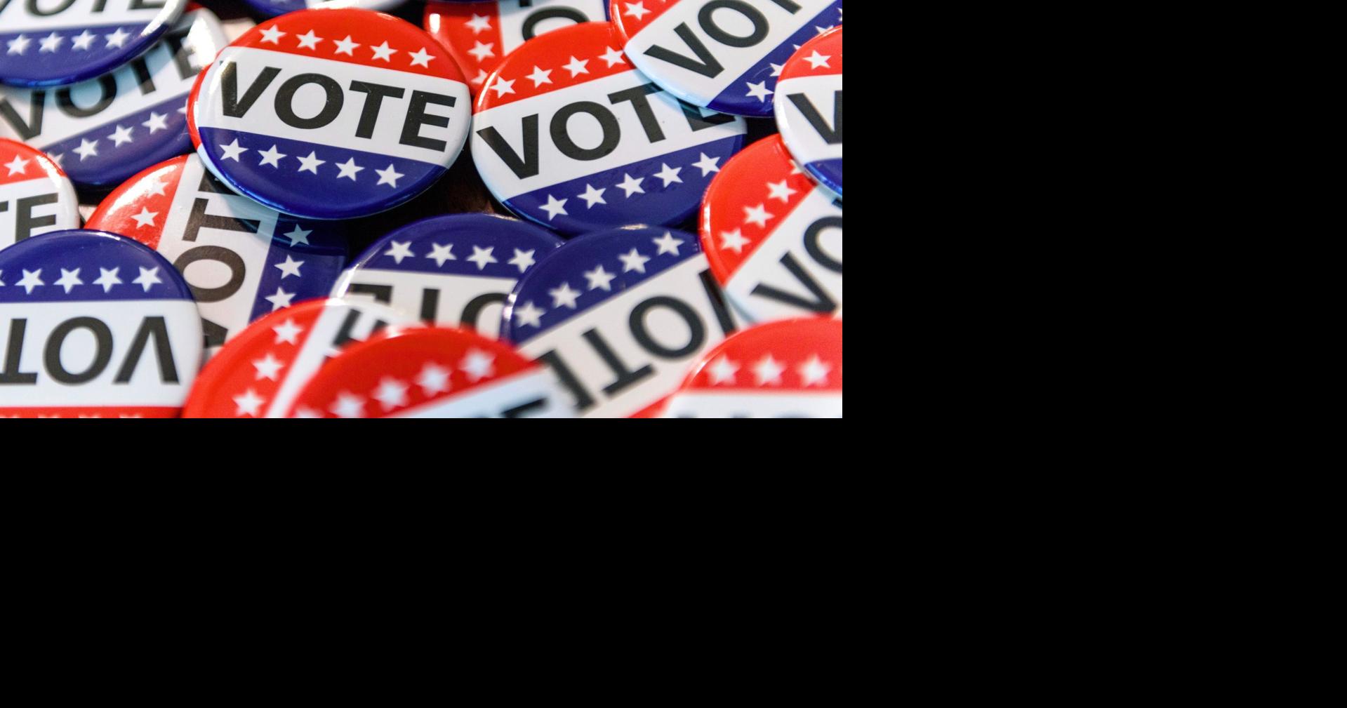 Early voting tops 11,000 ballots ahead of Thursday's Sullivan County election