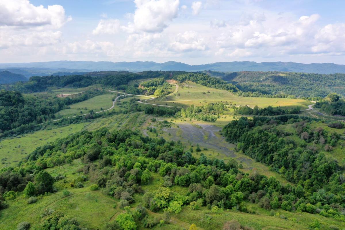 The Nature Conservancy