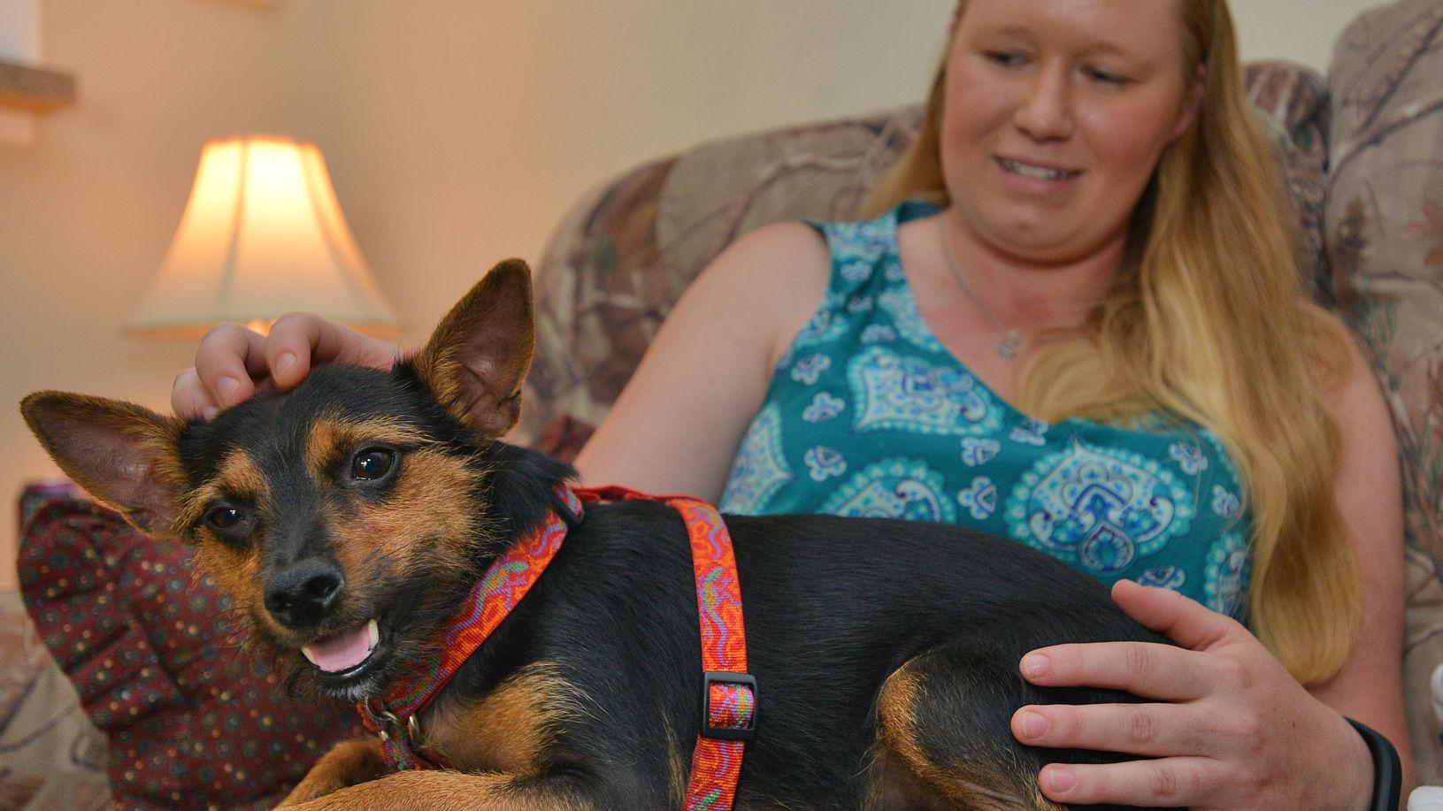 Service Dog Helps Bring Peace Healing To War Veteran With Ptsd Latest Headlines Heraldcourier Com