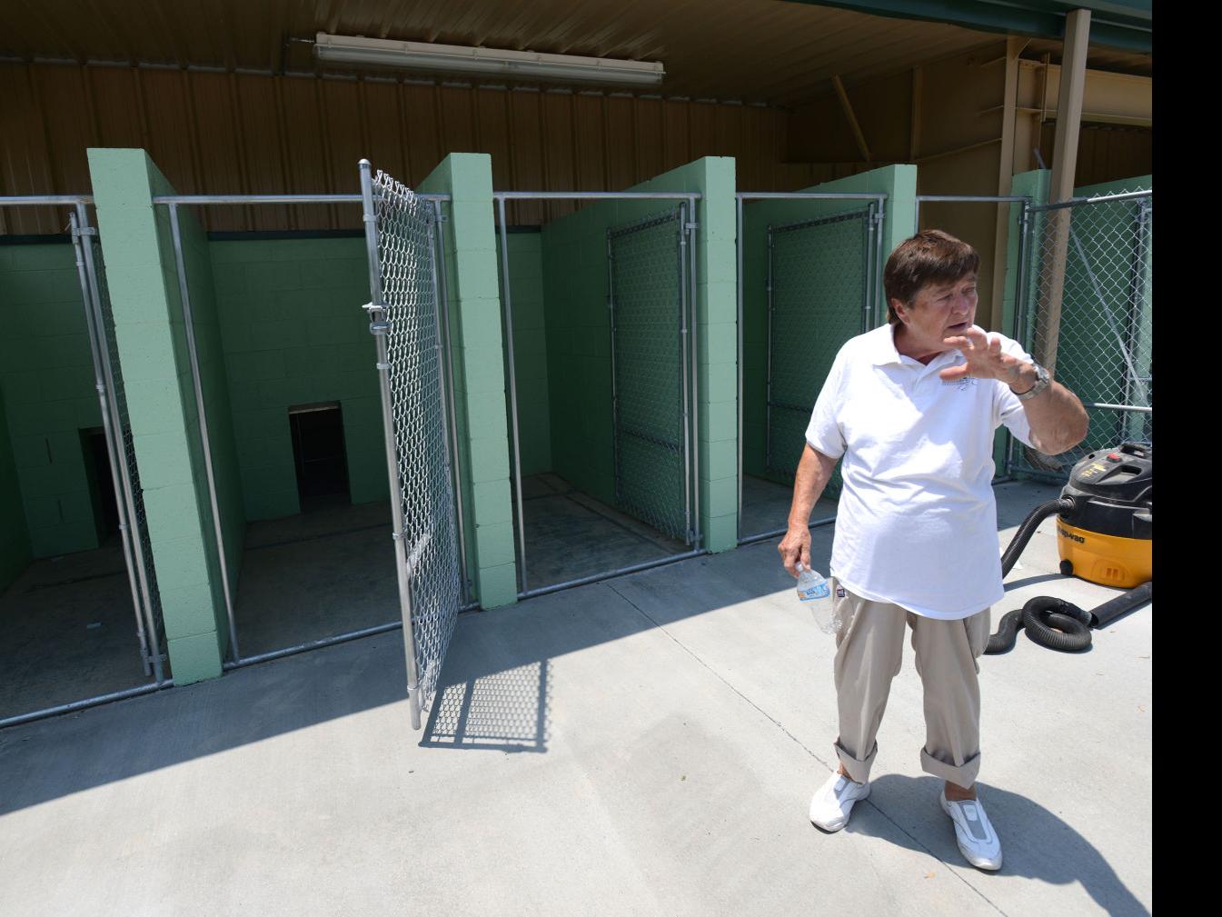 Woman Hopes New Shelter Will Be Answer To Unwanted Cats And Dogs