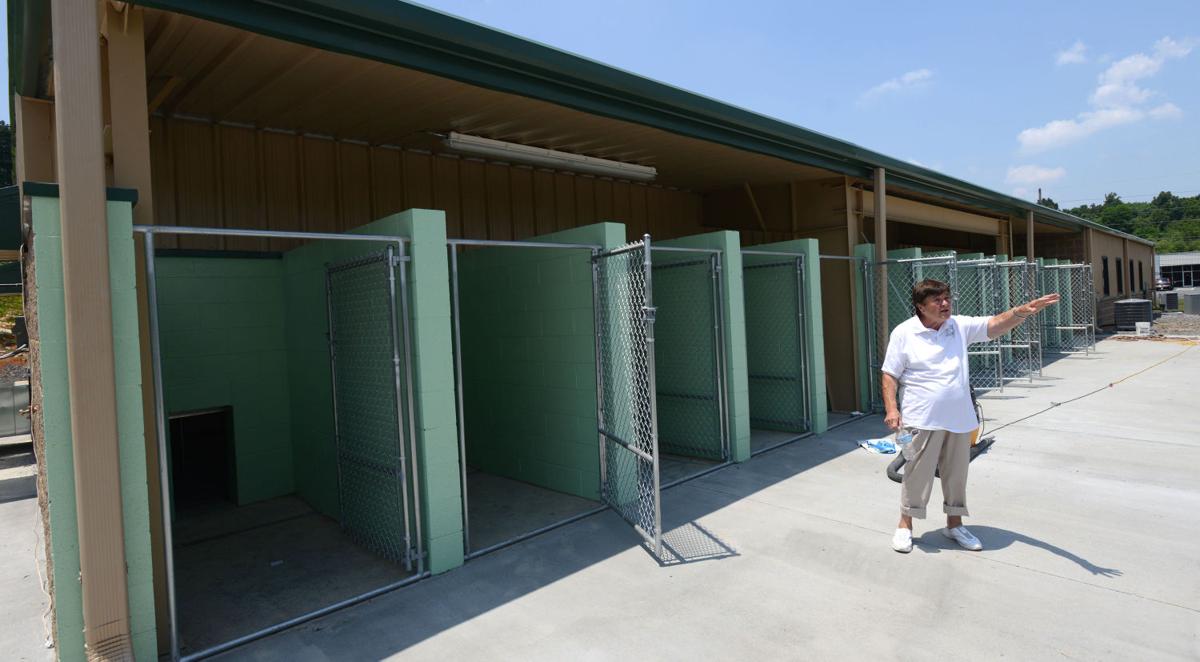 Woman Hopes New Shelter Will Be Answer To Unwanted Cats And Dogs Latest Headlines Heraldcourier Com