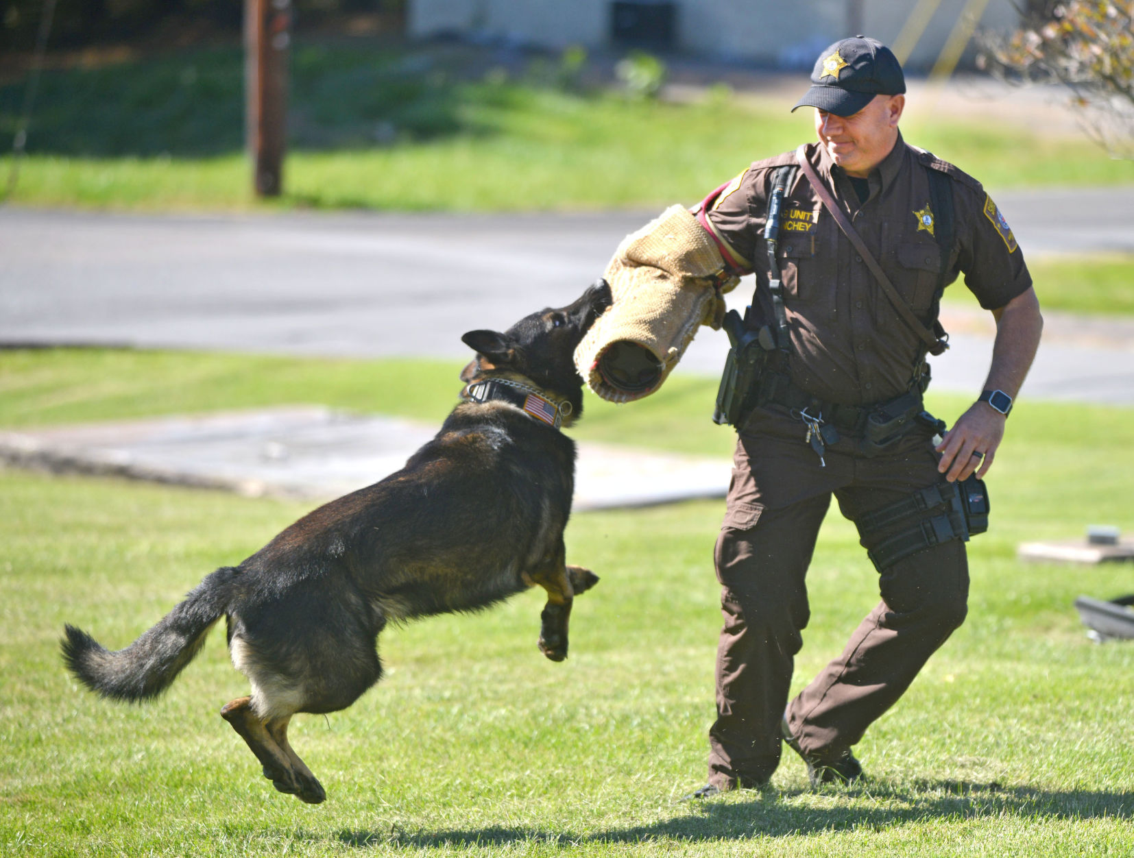 appalachian k9 training center