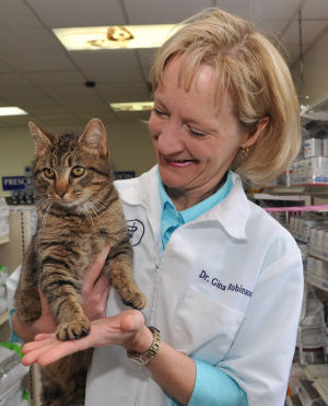 vca highlands animal hospital