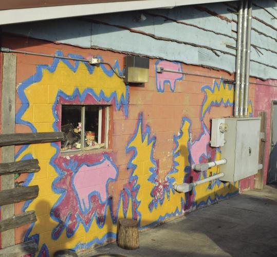 CUZ3 - An explosion of crazy colors is on the side of Cuz's in Pounding Mill, Virginia.