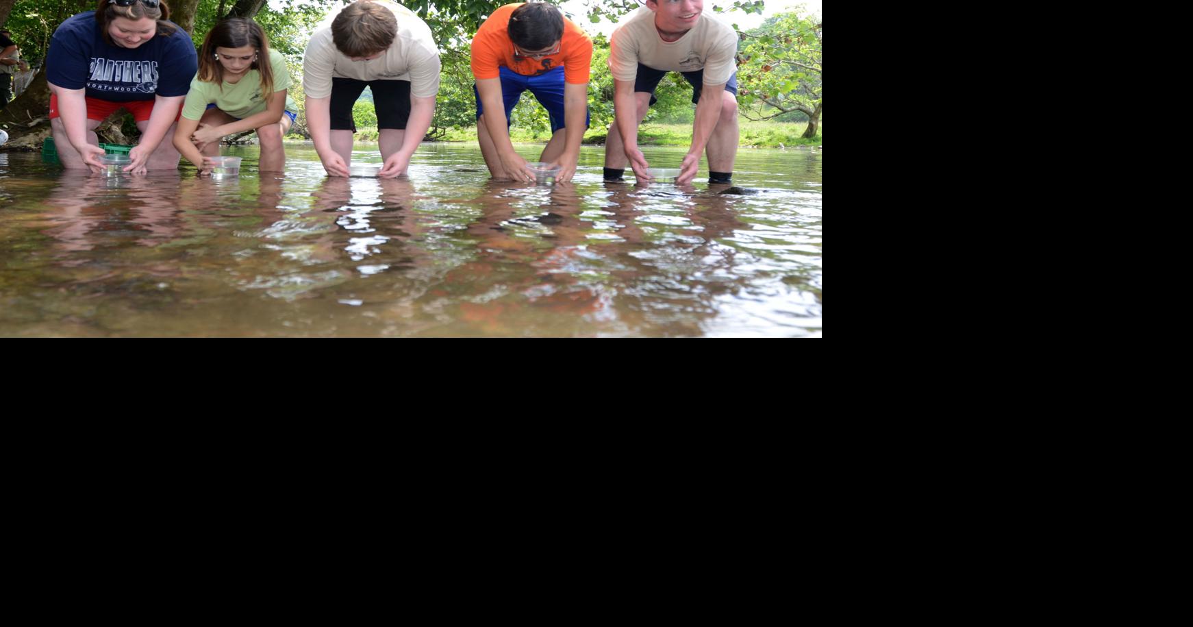 Yellowfin Madtom Catfish species thought extinct reintroduced after a