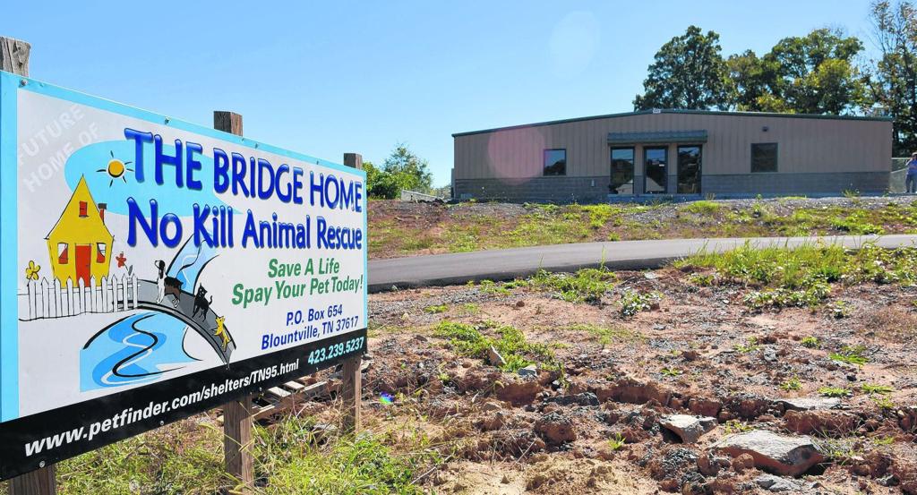 The Bridge Home No Kill Animal Rescue Struggles To Pay Bills
