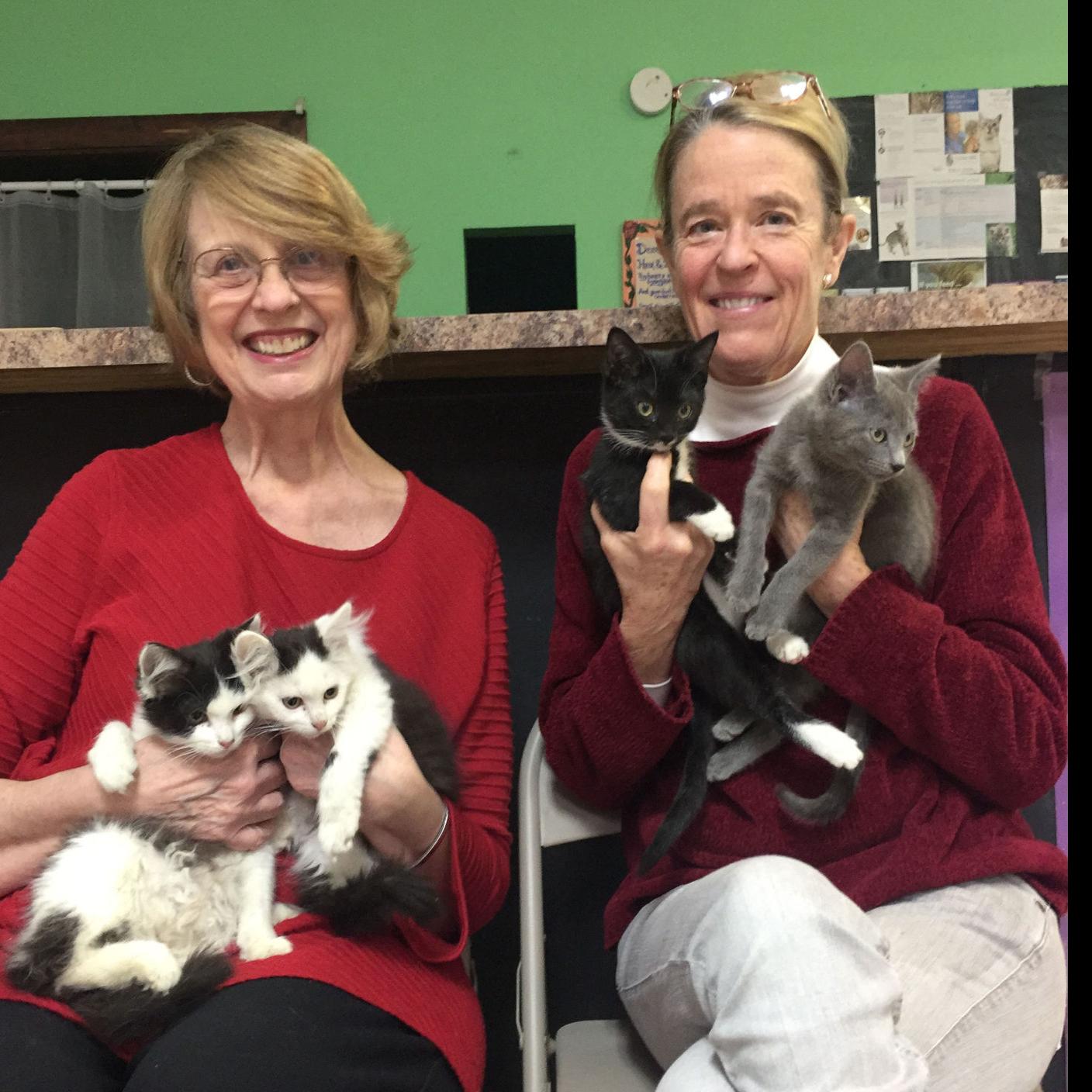 Local Group Working To Help Unwanted Cats And Kittens Latest Headlines Heraldcourier Com If the kittens are 6weeks+ then put an ad in your local paper, craigslist kijiji and fliers around your neighborhood saying you are this site might help you. unwanted cats and kittens